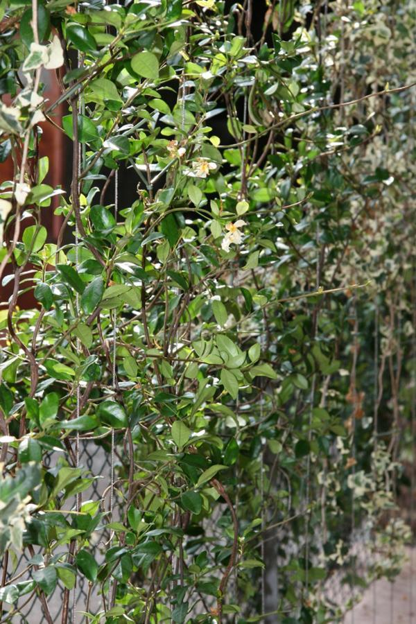 Le Tre Arti B&B San Zenone Exterior photo